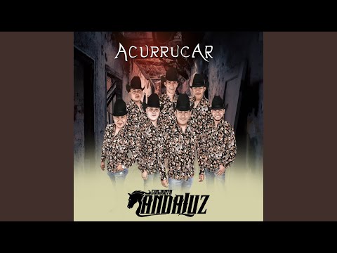 Acurrucar