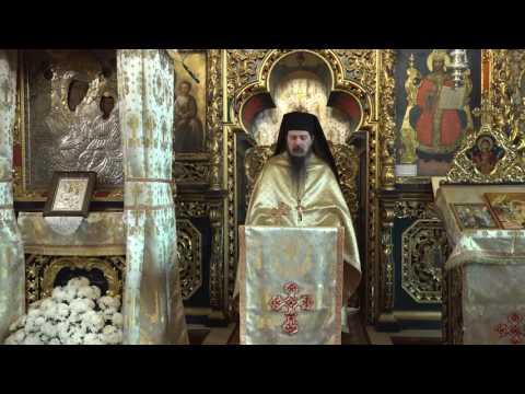 Protos. Dosoftei - Predică la Duminica a XXXIII-a după Rusalii (2017)