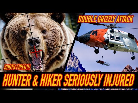Two grizzly attacks in one weekend | Elkford British Columbia and Grand Teton National Park #bear