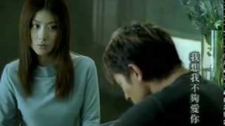 Bài hát 我不够爱你/ Wo Bu Gou Ai Ni / I Don't Love You Enough - Nghệ sĩ trình bày Andy Lau / 刘德华 / Liu De Hua / Lưu Đức Hoa