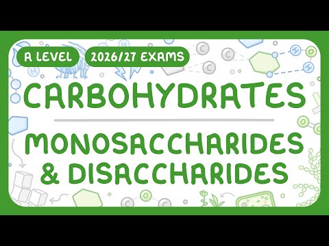A-Level Biology - Carbohydrates: Monosaccharides & Disaccharides (2026/27 exams)