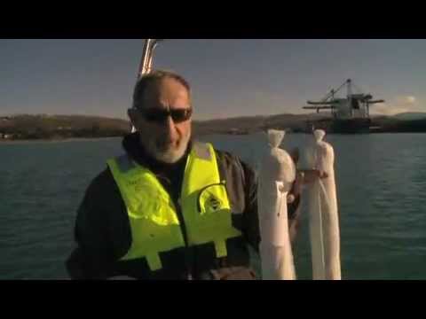 Exxon valdez, recommendations for future successful practices