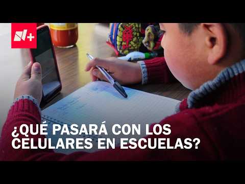 This Is How Cell Phone Use Will Be Regulated in Mexico's ...