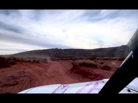 Valkyrie chasing down 3 - 1 day old  Speed el jefe RG’s