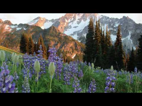 David Clavijo - From the Depths