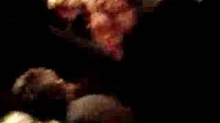 Gravy Train!!!! on Halloween 2006