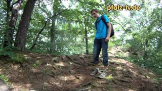 preview picture of video 'Wanderung zu den Altschlossfelsen bei Eppenbrunn - GoPro Video'