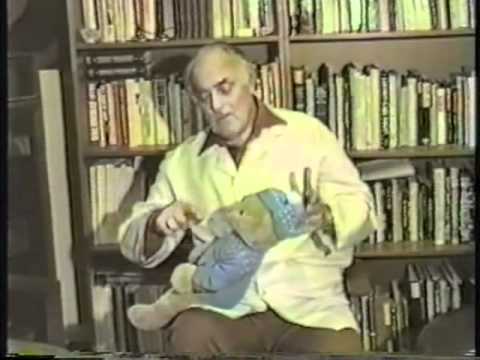 Dr Marcel Vogel - Crystal usage technique - Phase 2