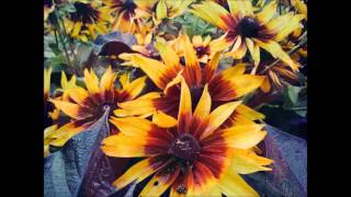 C BLOCK   The Future Is So Bright