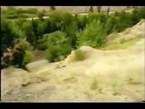 Волният Джош Бендер