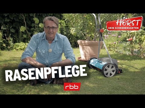 6 Tipps zur Rasenpflege im Herbst | Horst sein Schrebergarten