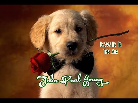John Paul Young 💘Love Is In The Air (Tradução)