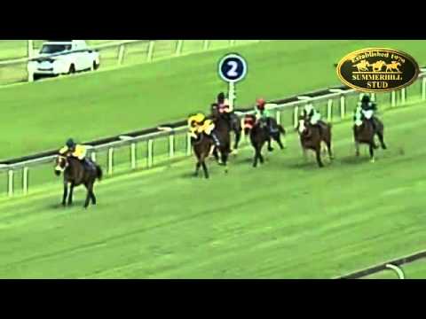 IPI TOMBE CHALLENGE (Gr2) - IGUGU