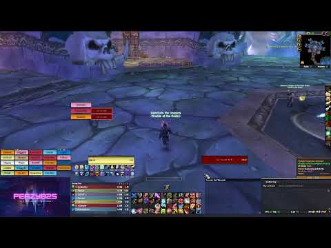 Wrath Of The LIch King | Naxxramas 25 mAN | SIn Rogue DPS | #worldofwarcraftclassic