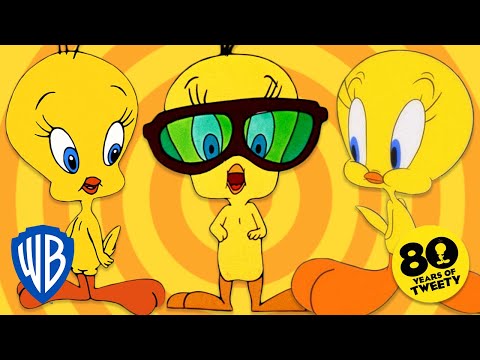 Looney Tunes | 2022, The Year of Tweety 💛 | WB Kids