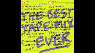 POP WILL EAT ITSELF - Harry Dean Stanton