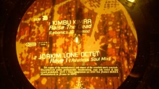 Joakim Lone Octet - Rêve 1 ( Restless Soul Remix ).wav