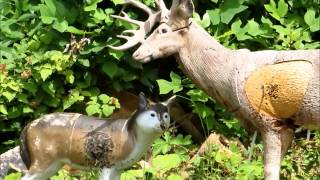 Dewayne Martin shooting 17 3 D targets