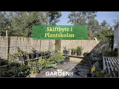 Shift change in the nursery - Gardenhacks by GardenR