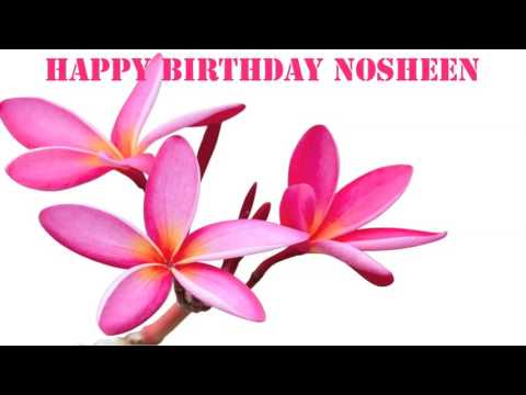 Nausheen  may suvit dutar(2)