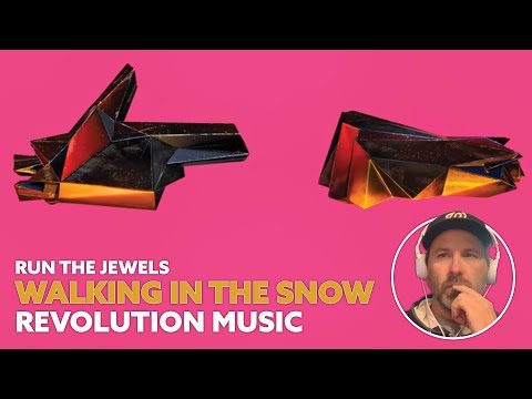 Cold, hard truths - Run The Jewels - Walking in the Snow (Reaction)