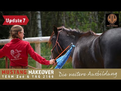 MUSTANG MAKEOVER 2022 - Eine schwarze Perle auf dem Weg zum Verlasspferd🖤 | Team Zoé Updaten7