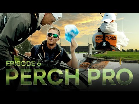 PERCH PRO 10 - Episode 6