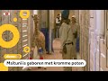 Baby-giraffe kan lopen dankzij hulp-poten