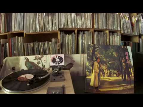 楊雅卉 Yang Ya Hui -- a3 惜别