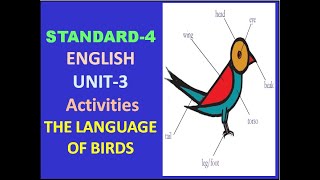 CLASS- 4 ENGLISH - UNIT- 3  ACTIVITIES_ THE LANGUAGE OF BIRDS (KERALA SYLLABUS)
