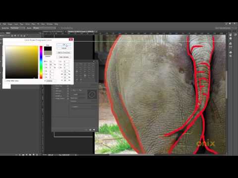 Adobe Photoshop Tutorial 36 - Using a Wacom also Drawing pt 1