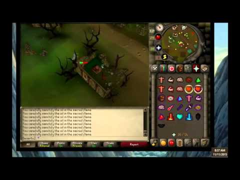 shade solo of mort'ton