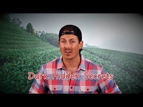 EXCLUSIVE EPISODE: Weird Stories That Actually Happened Vol.2  - MrBallen Podcast