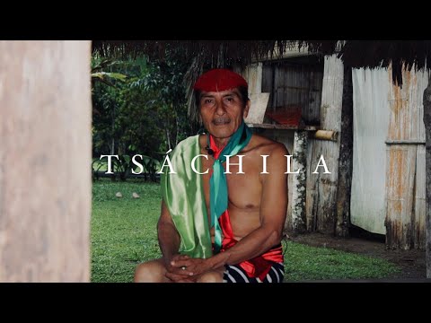 El Mensaje | TSÁCHILA
