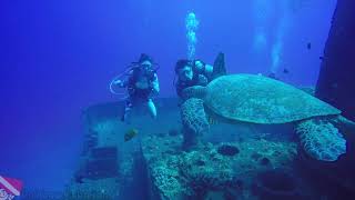 Group of four SCUBA divers descending on the bow of the Sea Tiger Wreck in Honolulu, Oahu.
