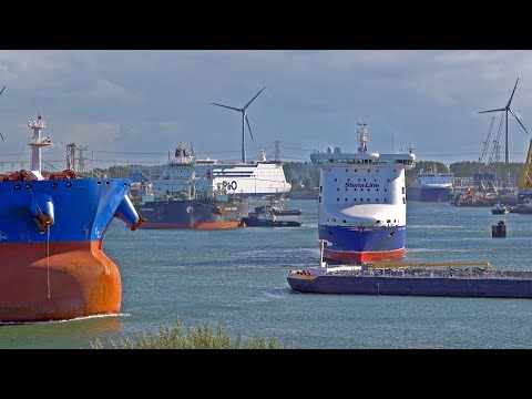 SHIPSPOTTING AT BUSY PORT OF ROTTERDAM NETHERLANDS - 4K SHIPSPOTTING SEPTEMBER 2024