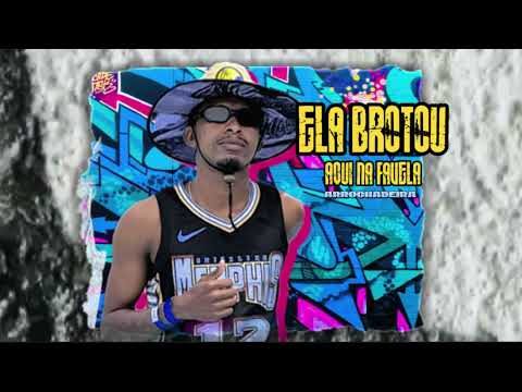 Ela Brotou Aqui Na Favela (Arrochadeira) David Super