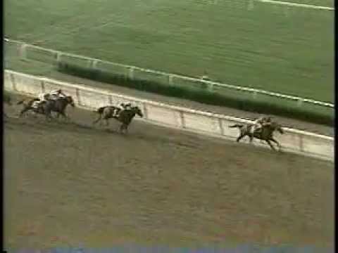 Caveat - 1983 Belmont Stakes