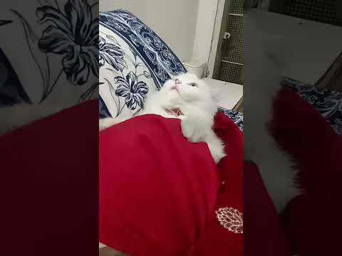 #enjoy #melfi #umama