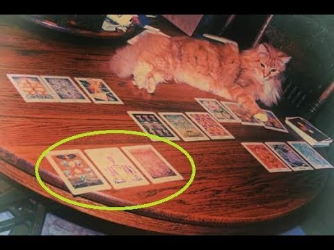 Unique Forms of Divination