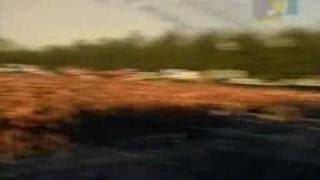 Bad Religion - You&#39;ve got a chance - Hard pop days 2000