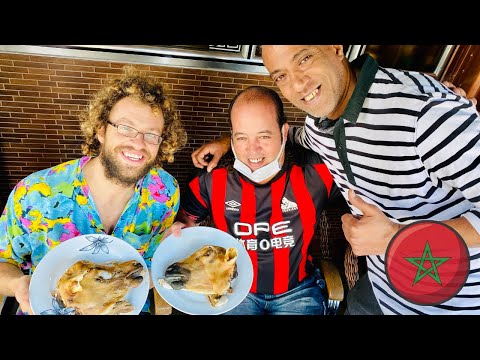 MORROCAN Sheep Head!  🇲🇦 Morocco, Agadir STREET FOOD, اكل مغربي, المغرب
