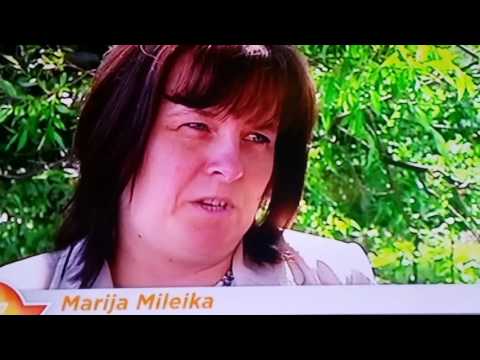 Aktuālā intervijā Beztabu VS Kubs 4X4 un galvenajā lomā SPAIDERMENS  Pret Mapeteks Pulkarnē!