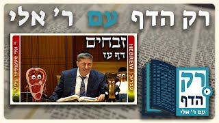 חזרה - זבחים דף עז | "רק הדף" עם ר' אלי סטפנסקי