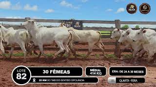 Vídeo LOTE 82