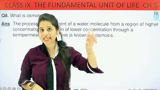 Back Exercise | Chapter 5 | The Fundamental Unit Of Life | Class 9 Science