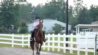 preview picture of video 'Twin Rivers Horse Show - Lauren on The Doctor Did It - July 2nd, 2011'