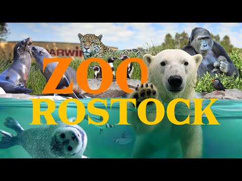 How is This "The Best Zoo in Europe"? | Rostock Zoo Review