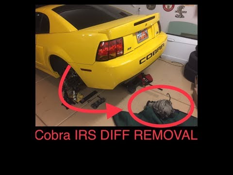 Cobra IRS Differential Removal 03/04 Cobra 99-04 Cobra FIX LEAKING DIFFERENTIAL