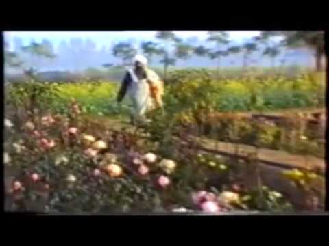 Aye Mil Gursikh Aye Mi | Acoustic | NKJ